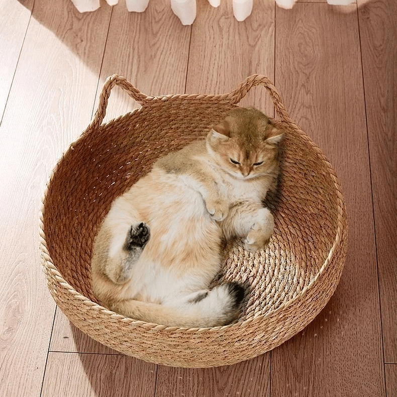Cat curled up in a round woven cat bed with ears