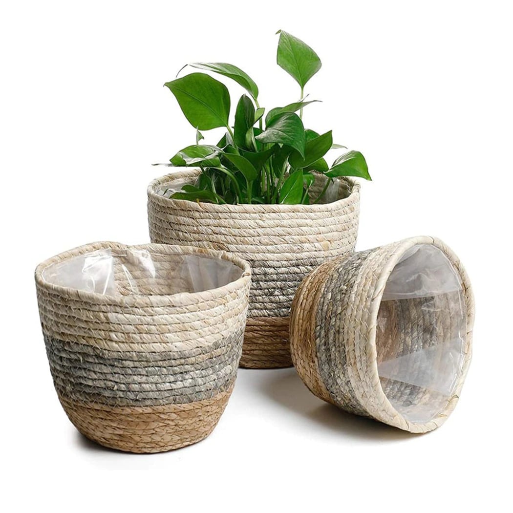 Woven plant pot covers with liners holding green plants
