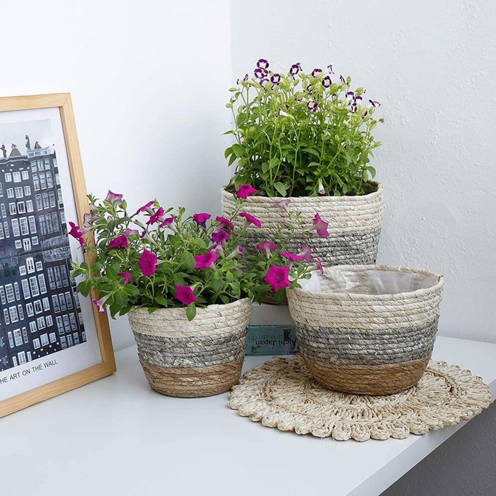 Woven plant pot covers with liners holding green plants